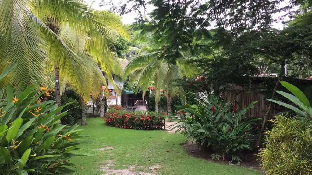 Farallón: archief uit mijn Panama-reis