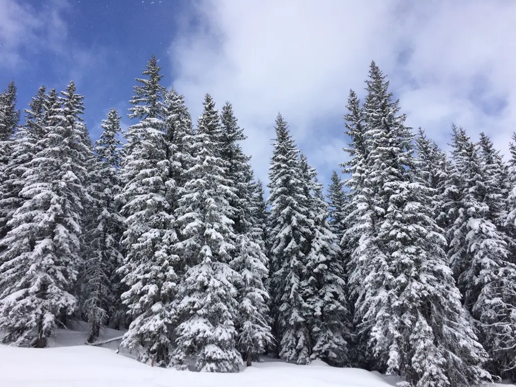 Saalbach