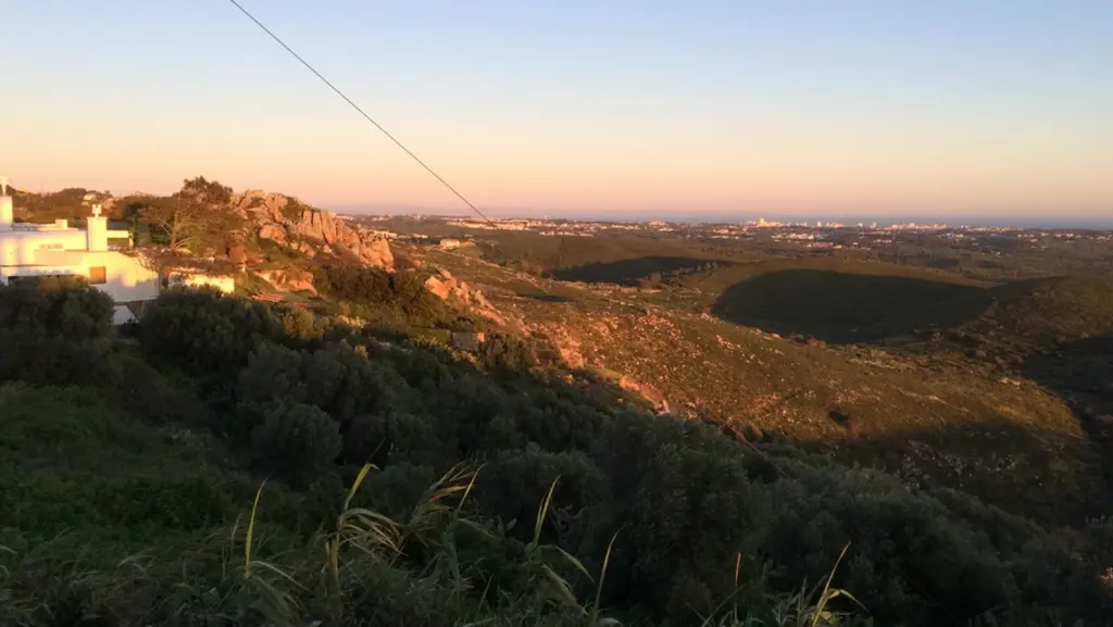 Colares