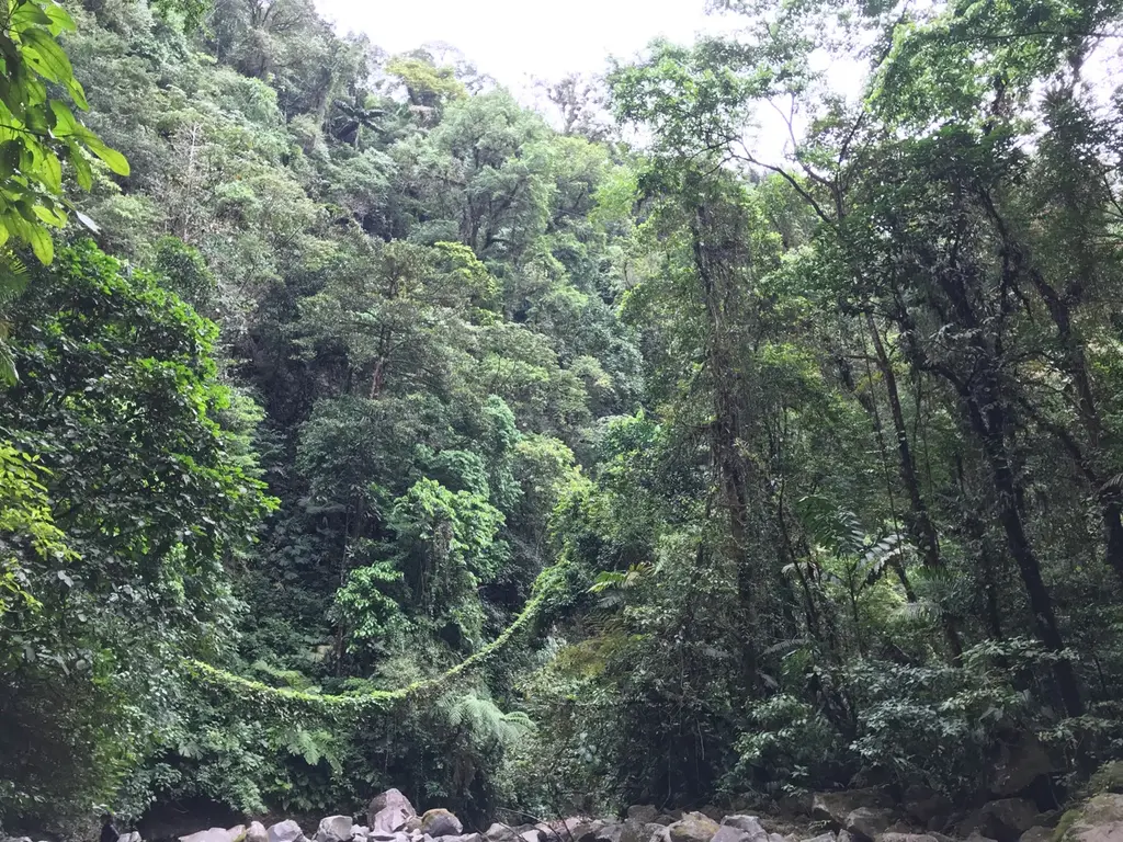 Tortuguero