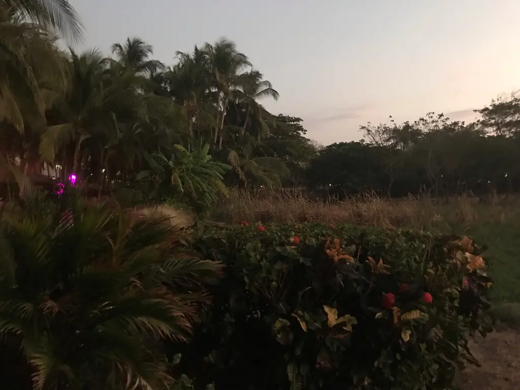 Manuel antonio