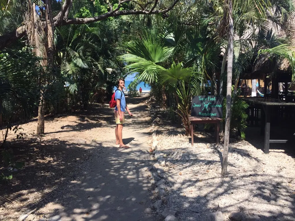 Playa langosta