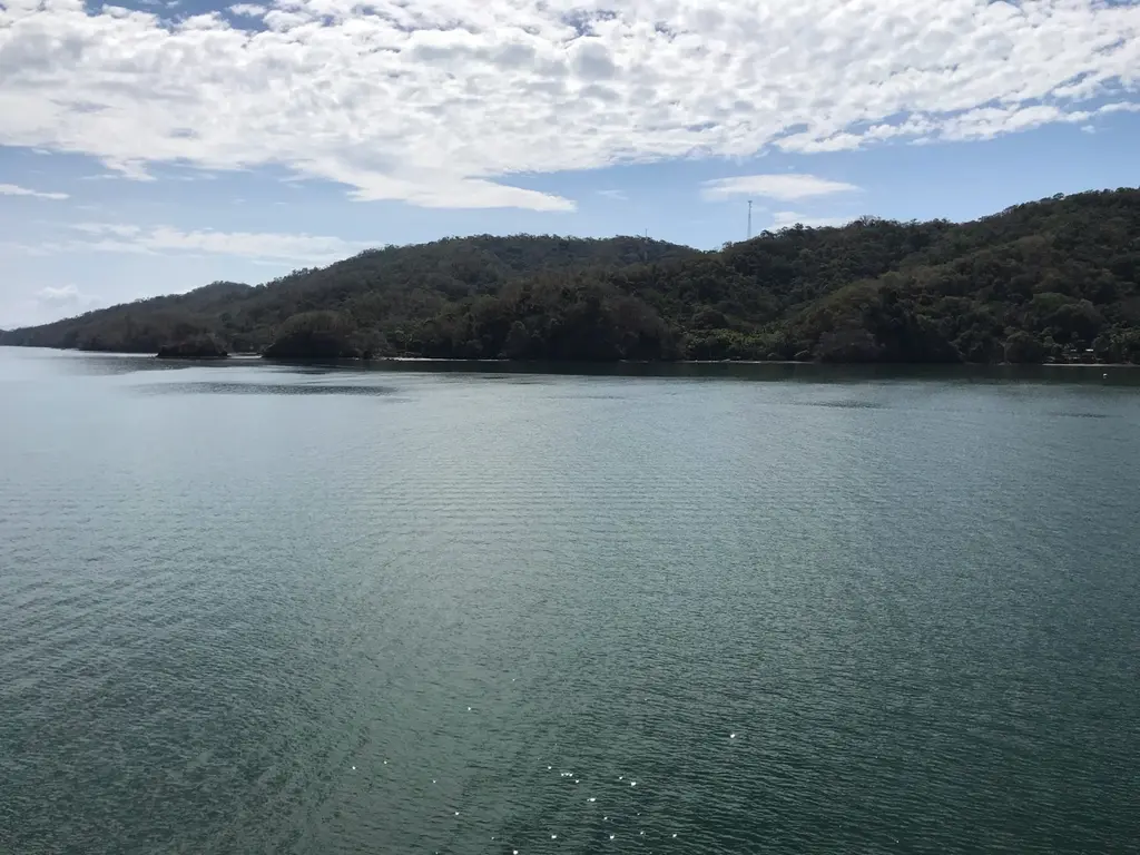 Tamarindo