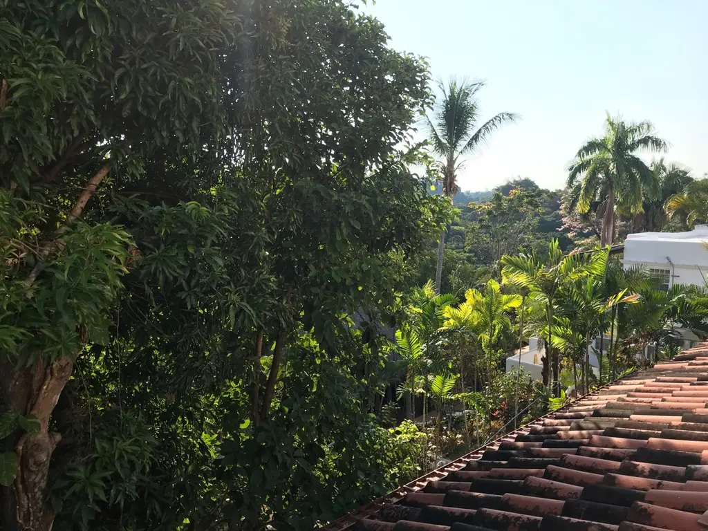 La fortuna