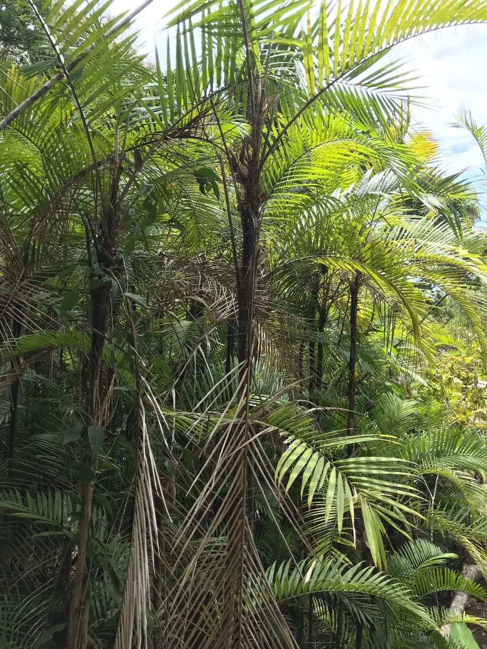 Somewhere in Costa Rica