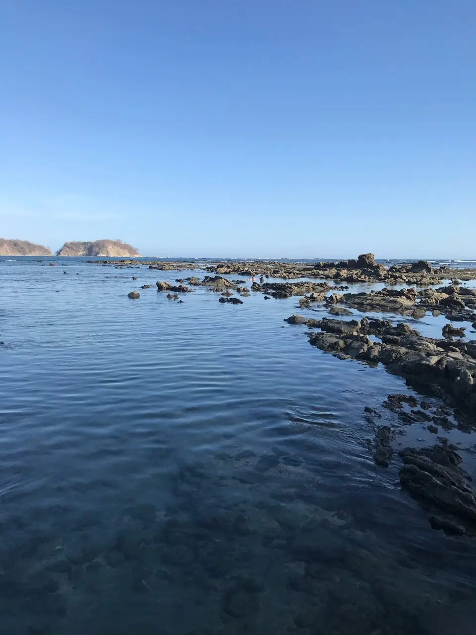 Nicoya