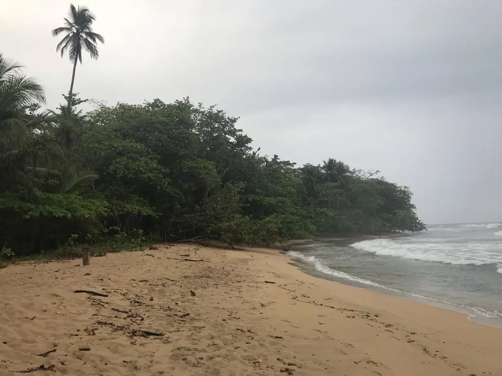Puerto Viejo: reisgids en ervaring in Costa Rica