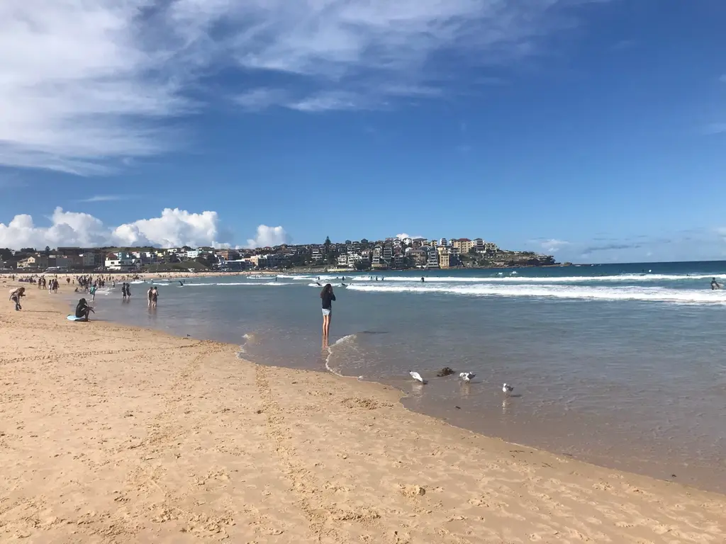 Bondi beach
