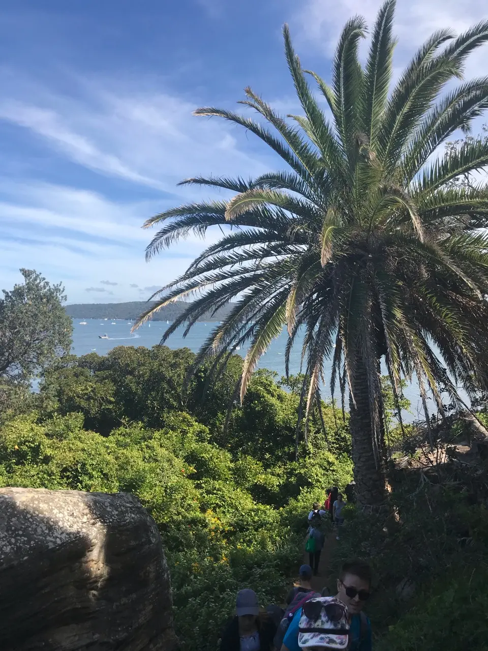 Palm beach