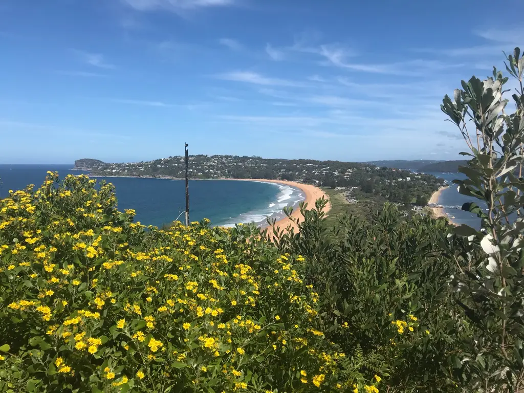 Palm beach