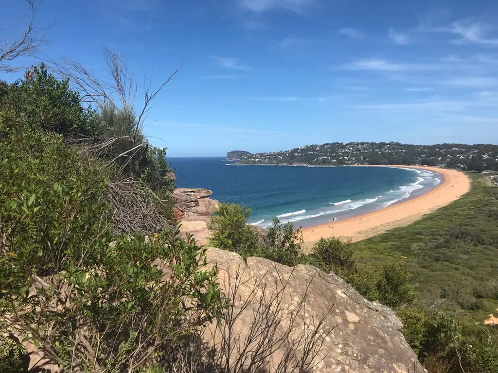 Palm beach