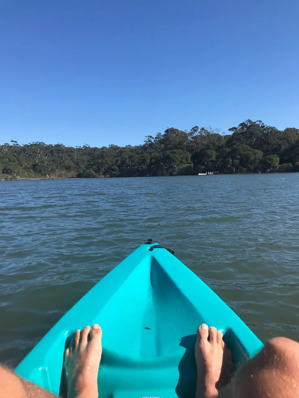 Wet’n’Wild: reisgids en ervaring in Australië