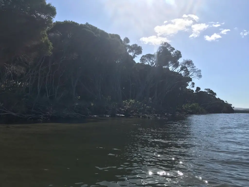 Peninsula Hot Springs: reisgids en ervaring in Australië