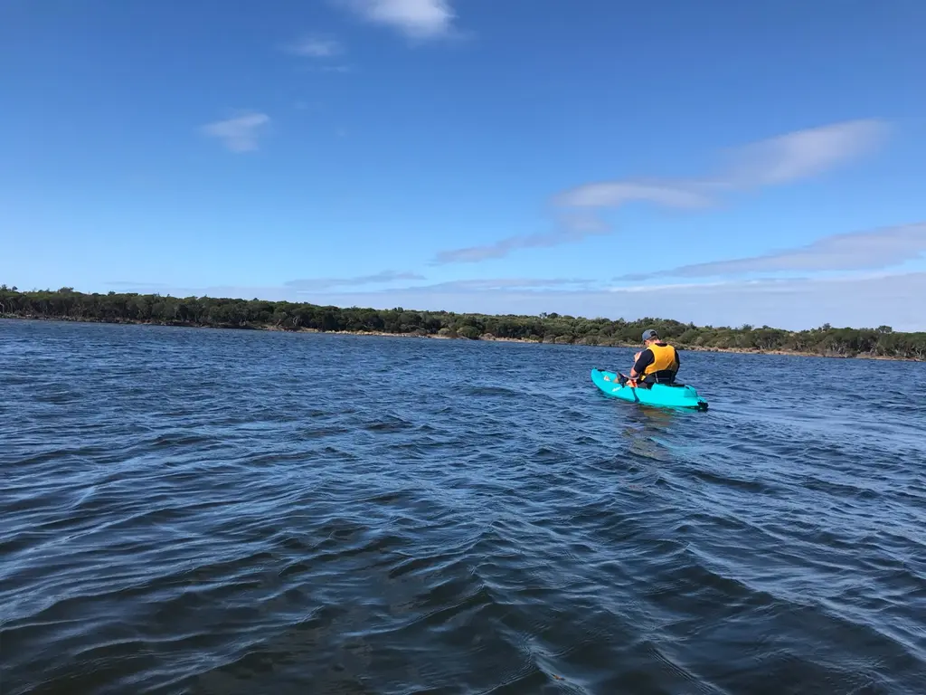 Seal rocks