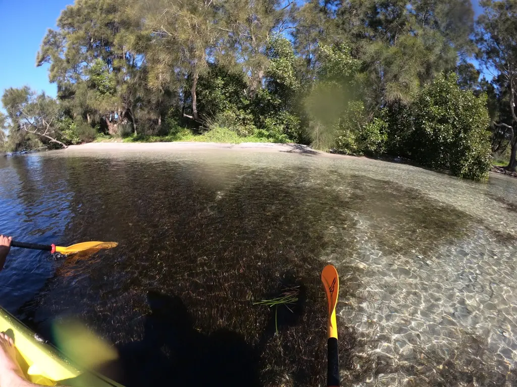 Lake macquarie