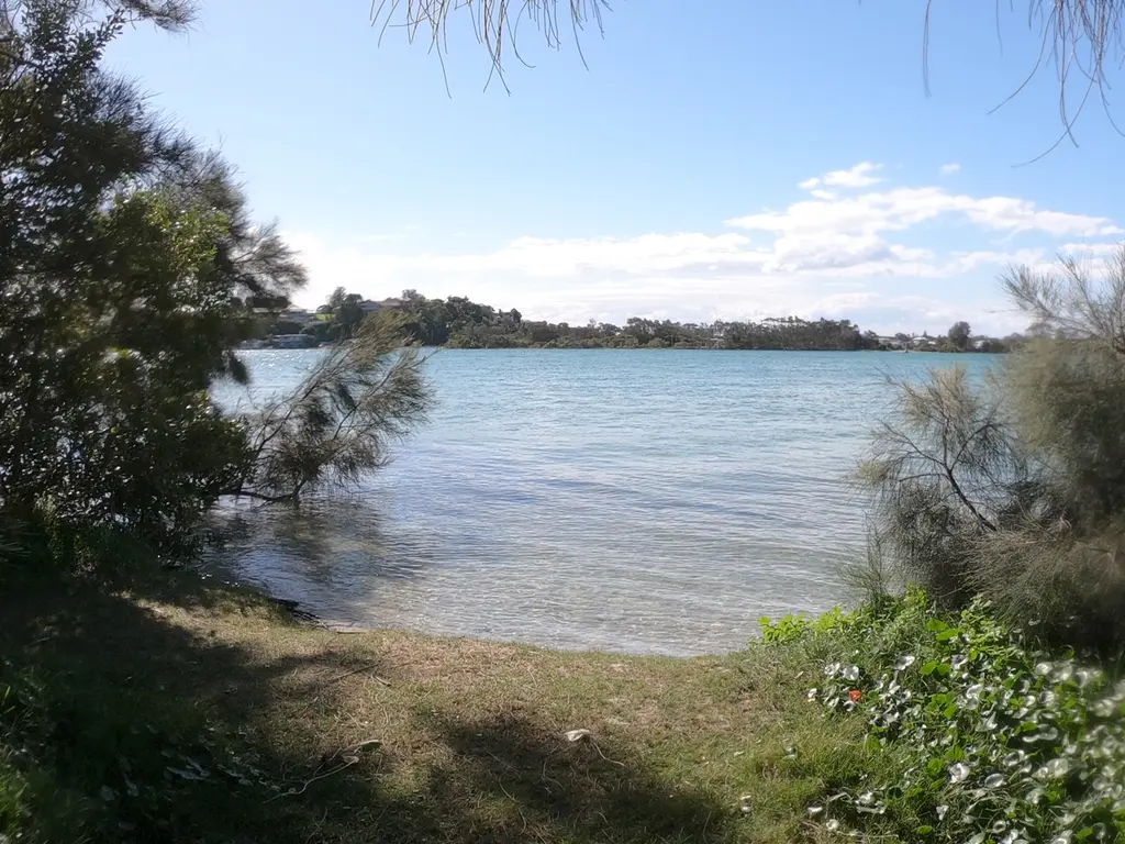 Seal rocks