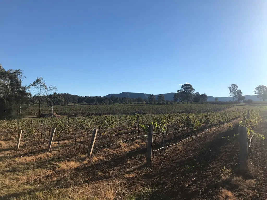 Urunga