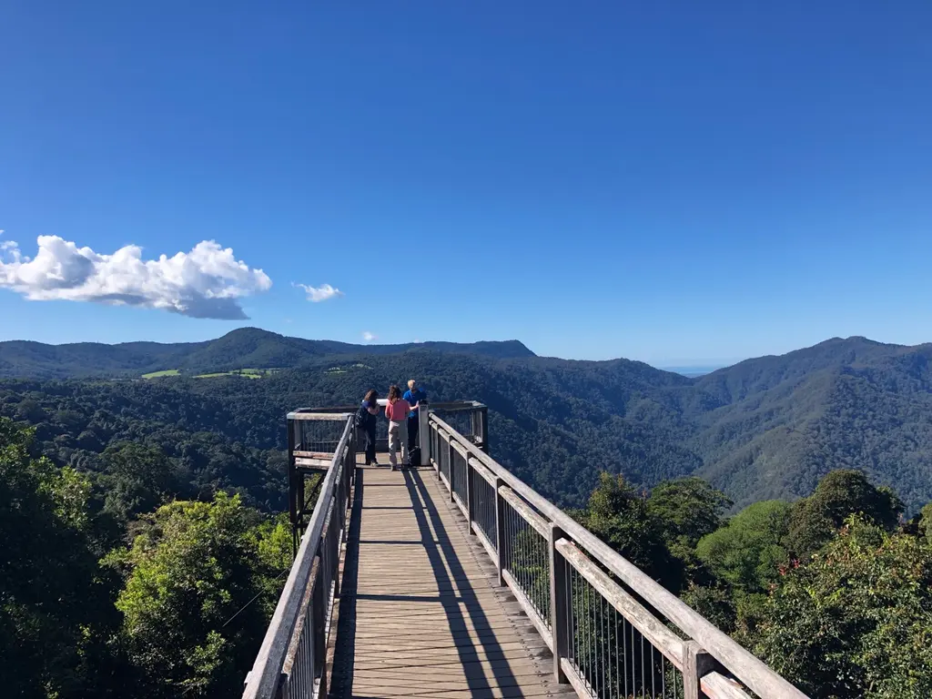 Dorrigo
