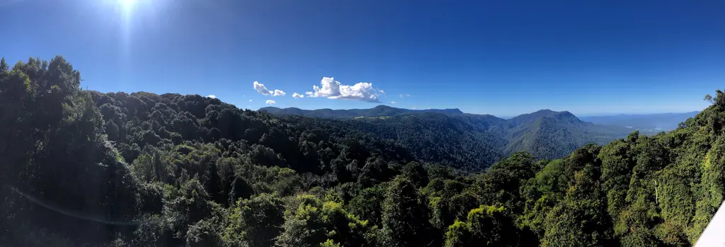 Dorrigo: reisgids en ervaring in Australië
