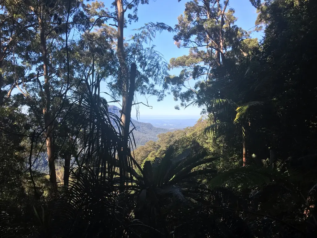 Dorrigo