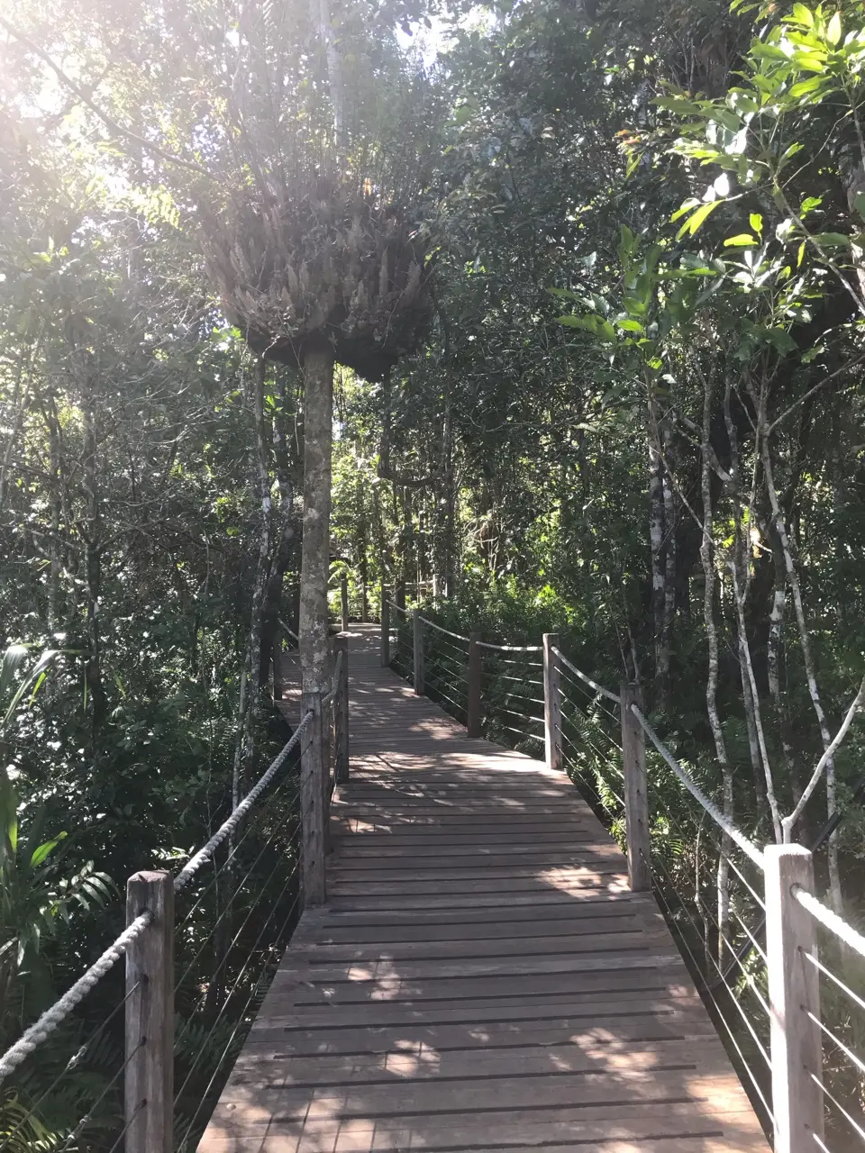 Kuranda