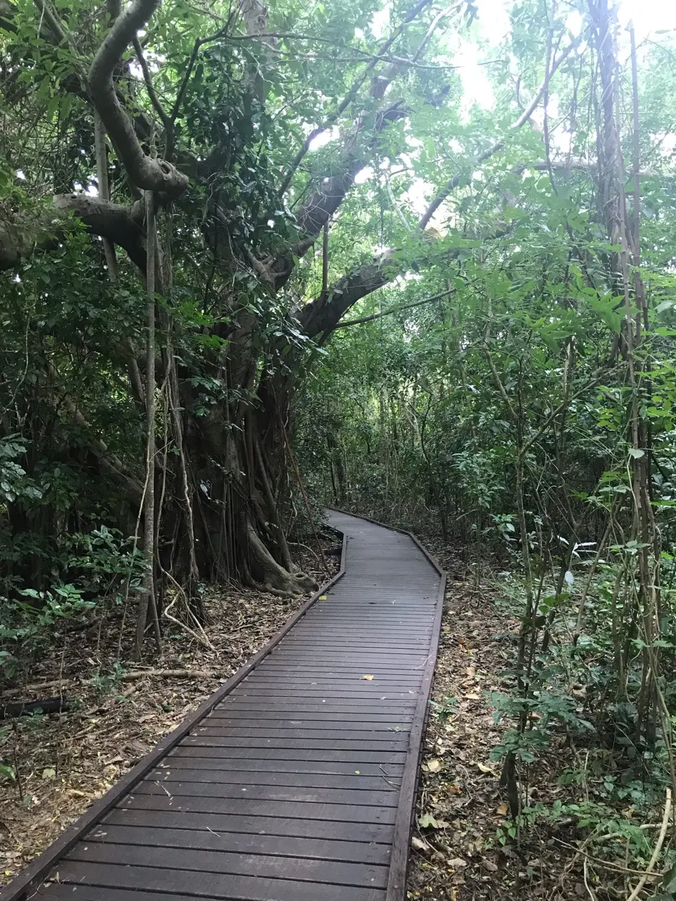 Cairns