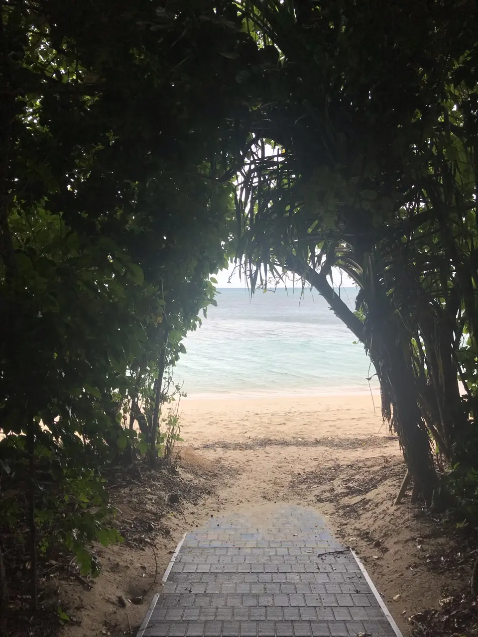 Cairns