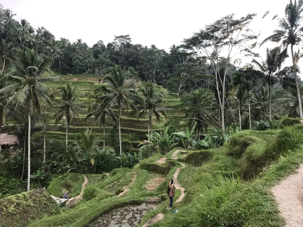 Gianyar