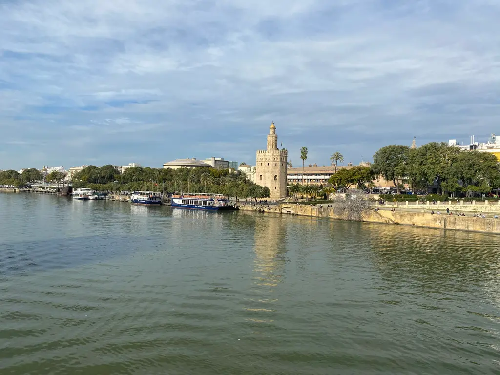 Palma