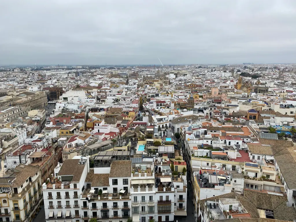 Palma
