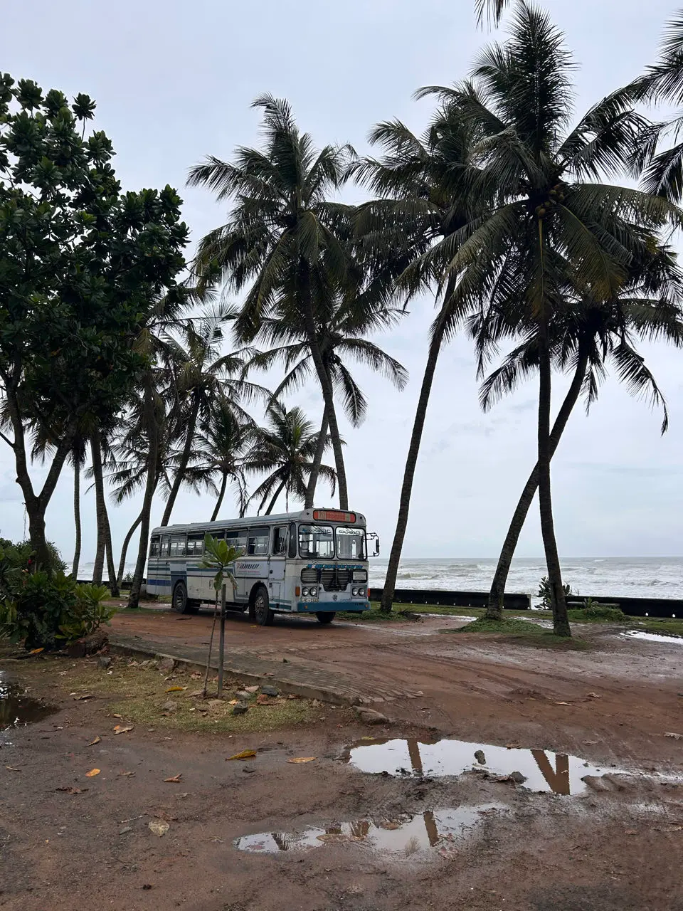 Galle