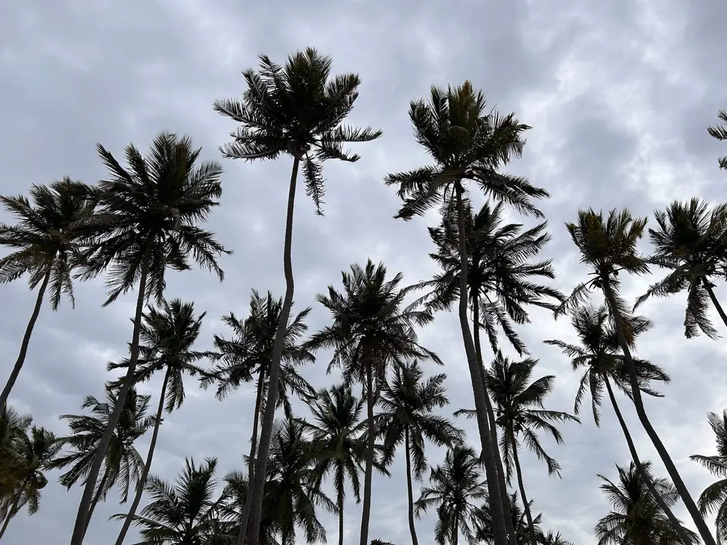 Nilaveli: reisgids en ervaring in Sri Lanka