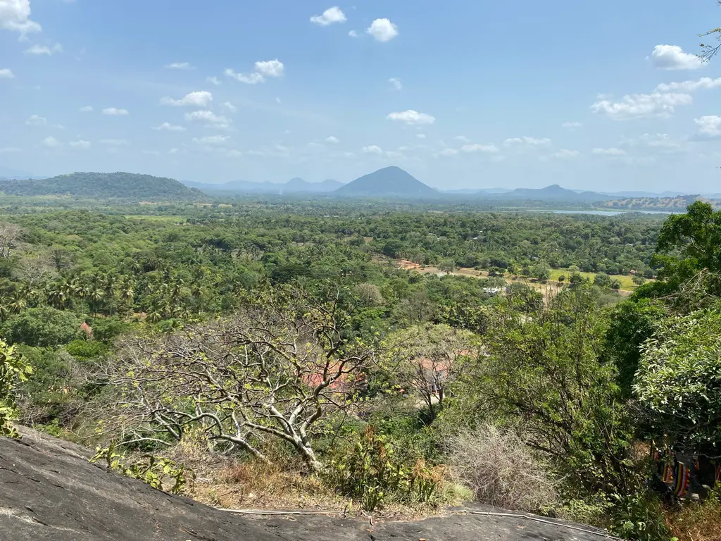Padeniya