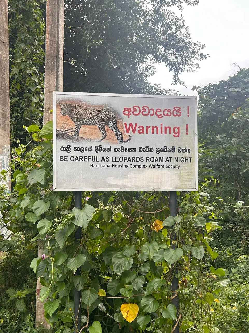 Kandy