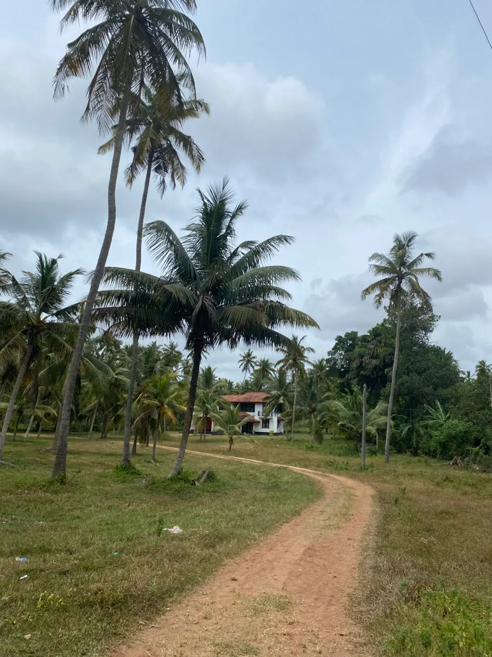 Negambo