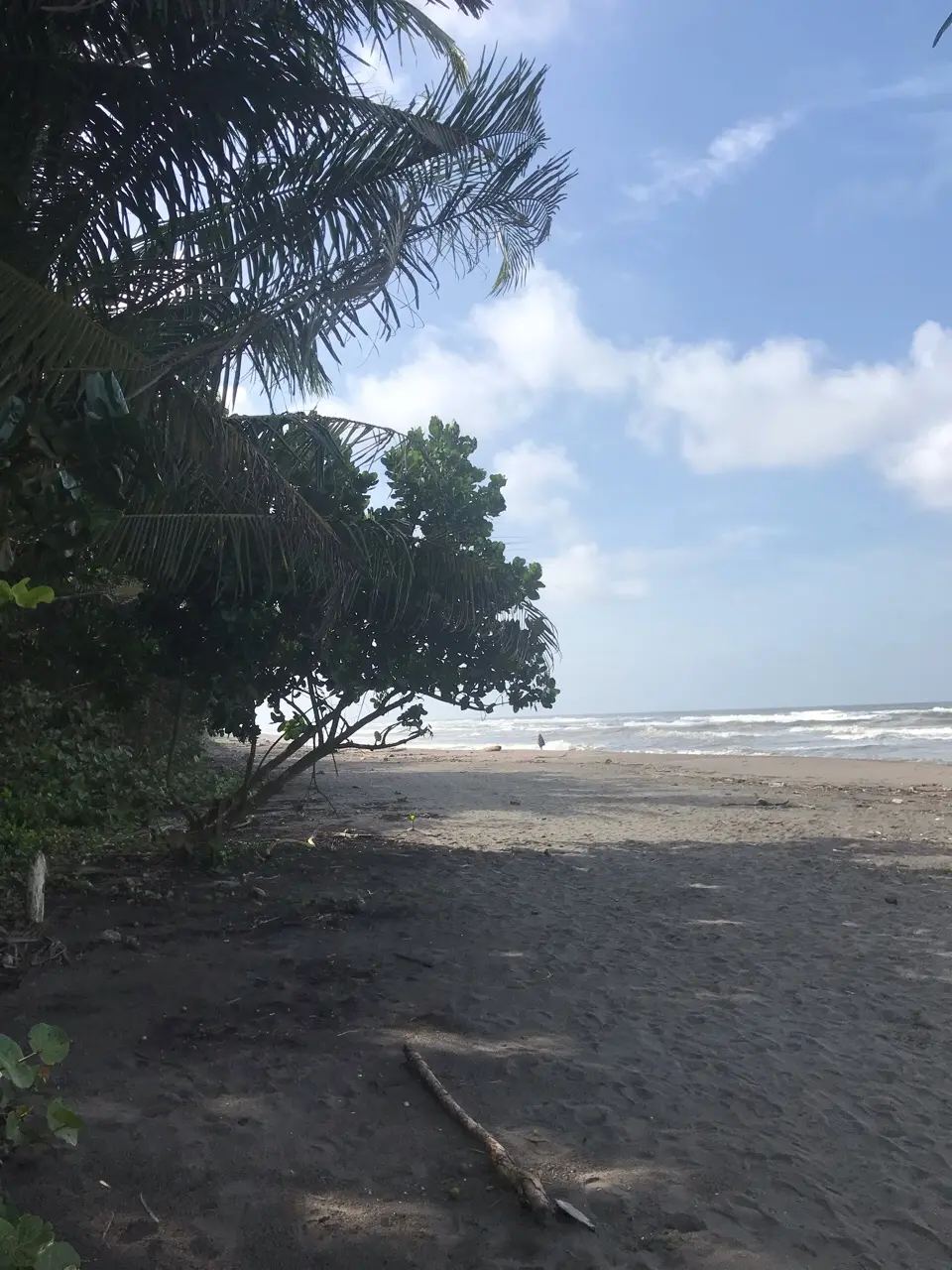 Pococí