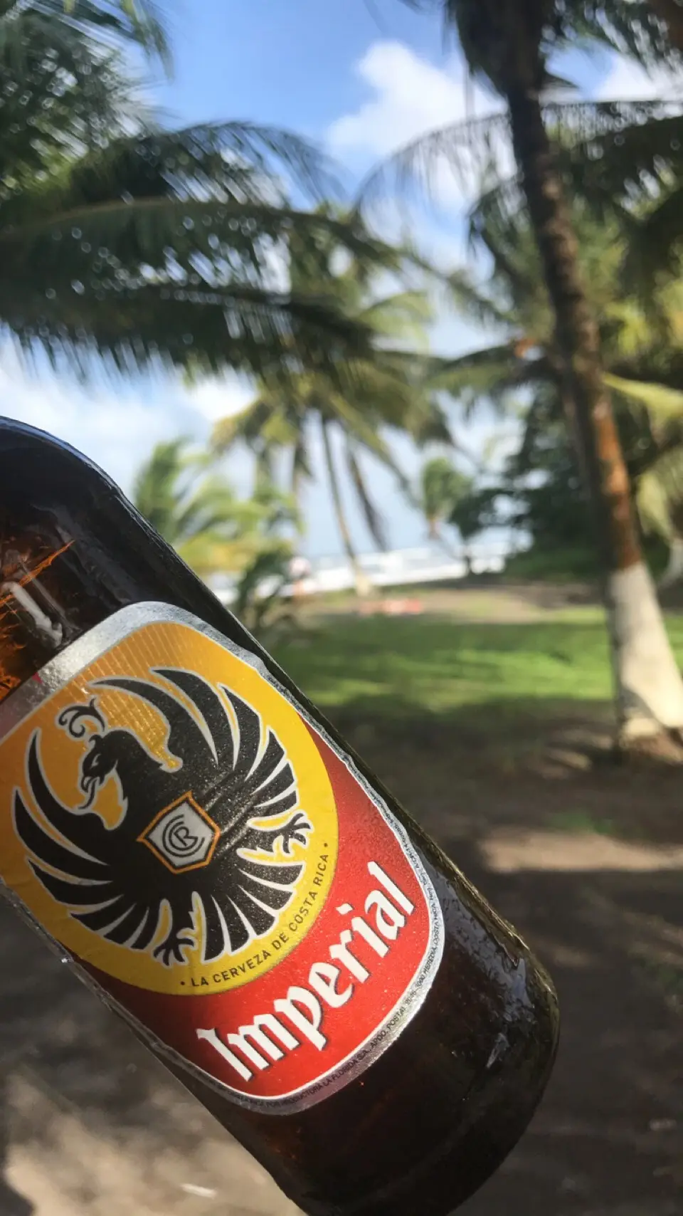 Pococí