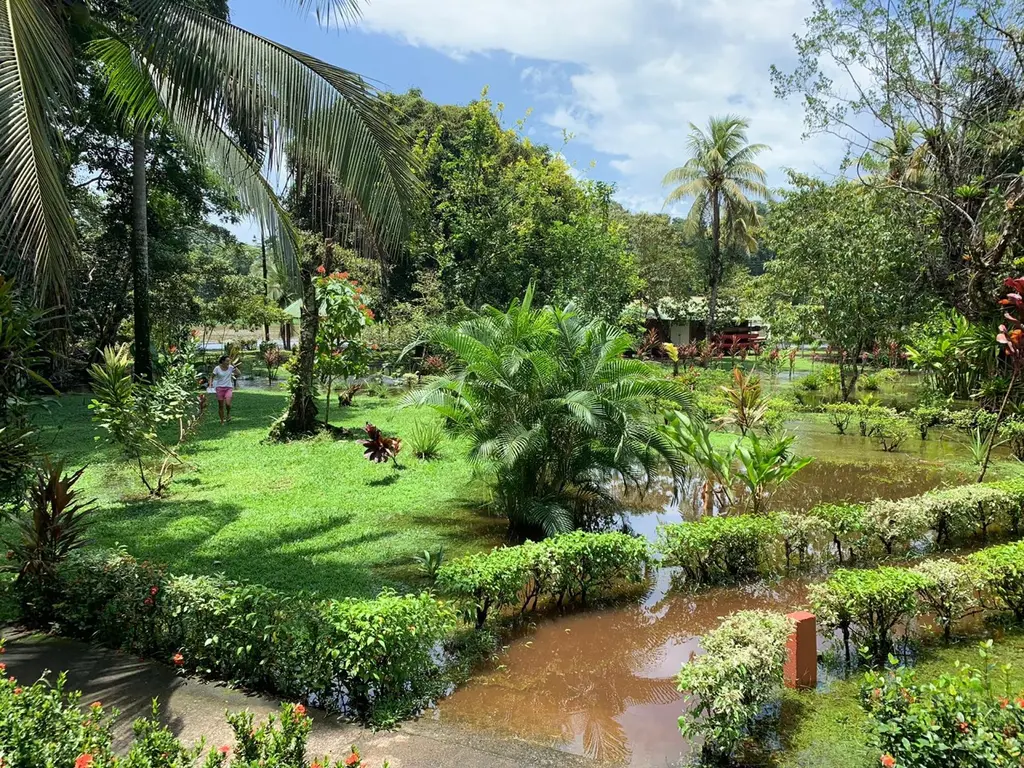 Monteverde