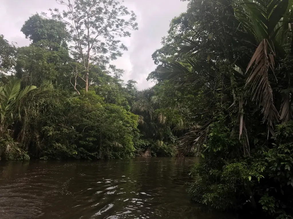 Monteverde