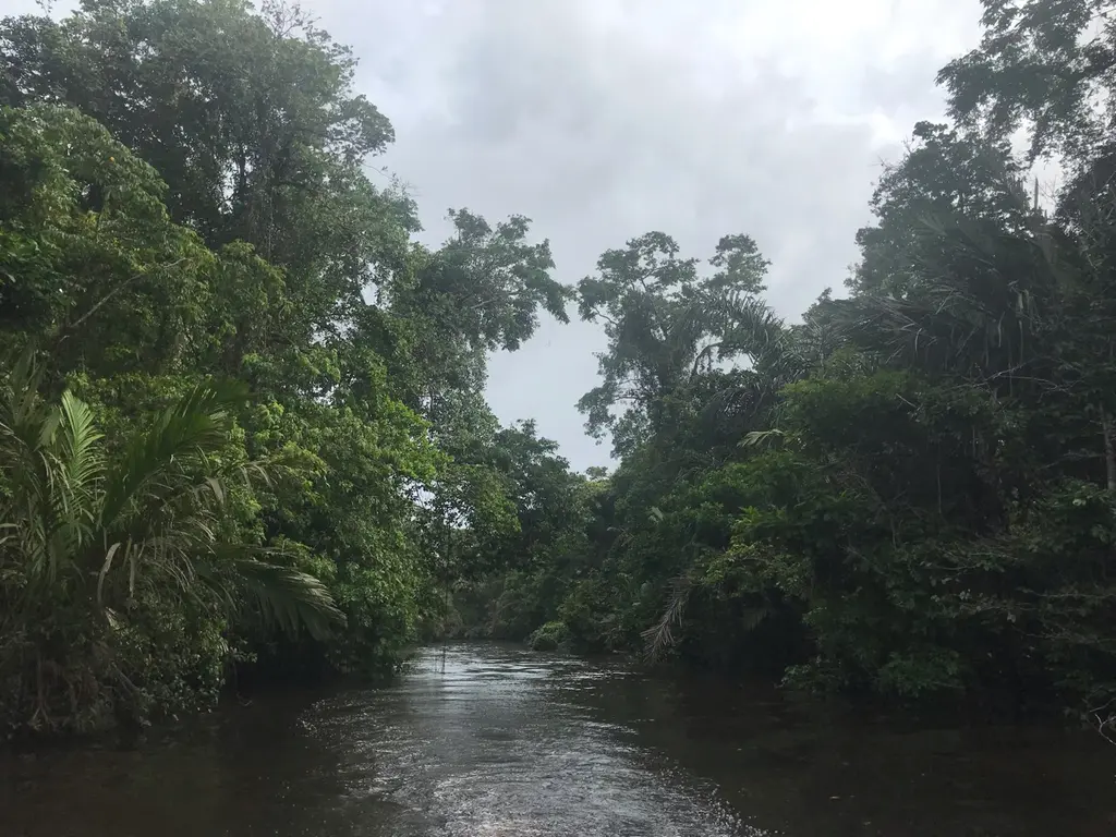 Monteverde