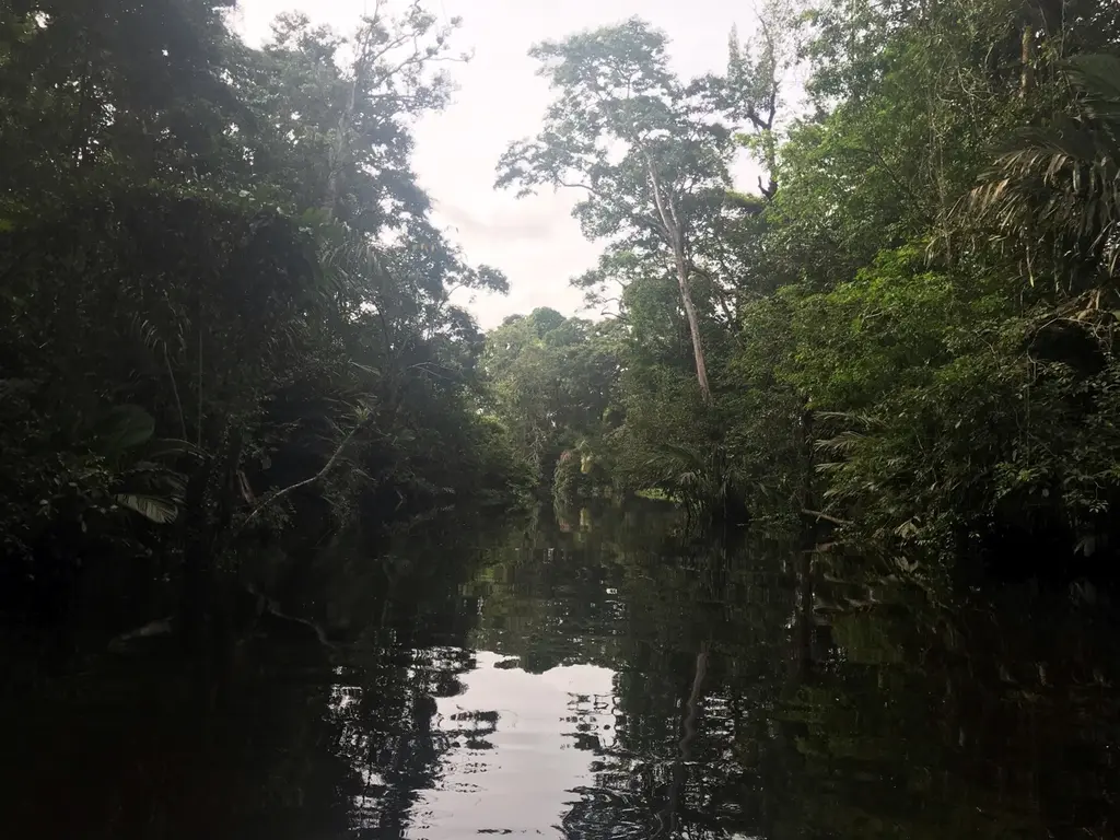 Monteverde