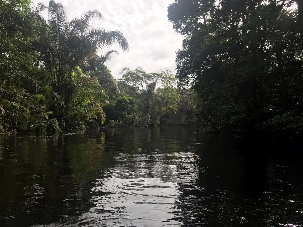 Monteverde