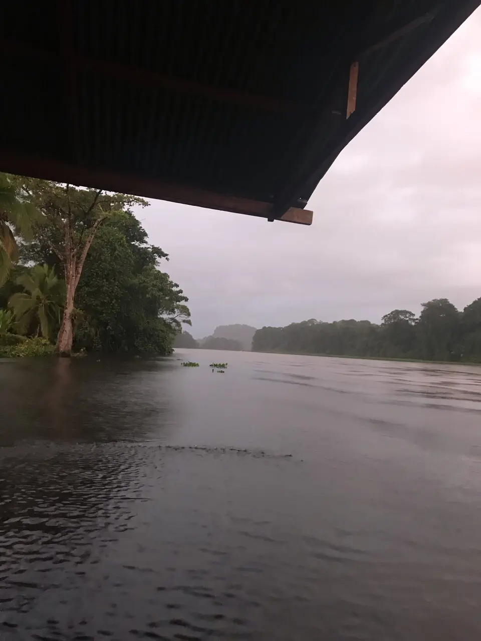 Pococí
