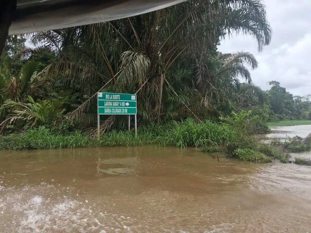 Pococí
