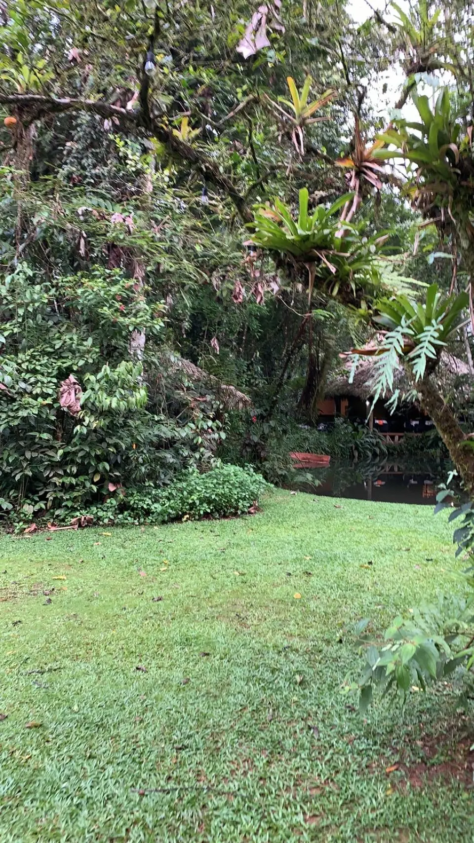 Sarapiqui