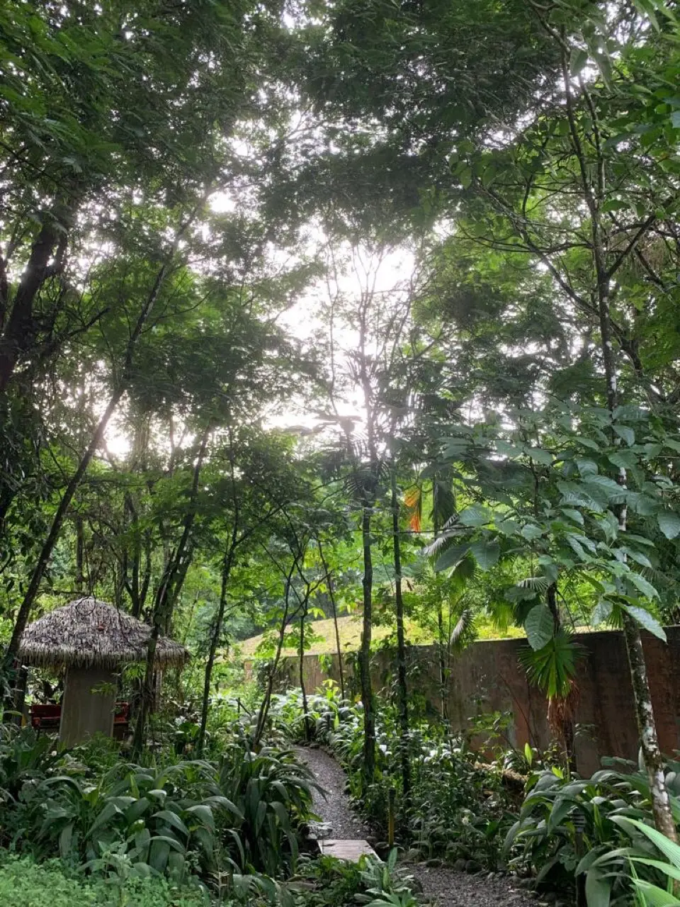 Sarapiqui