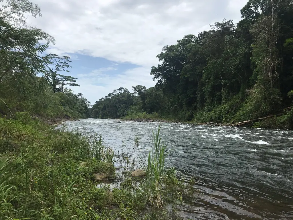 Arenal