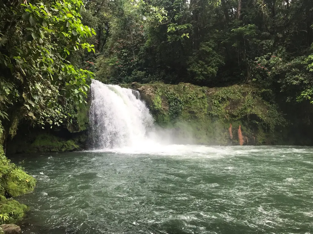 Sarapiqui