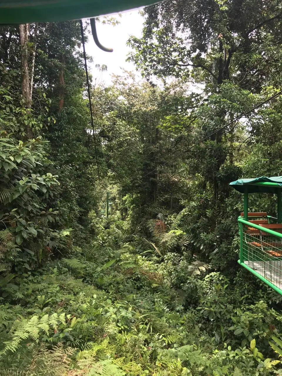 Pococí