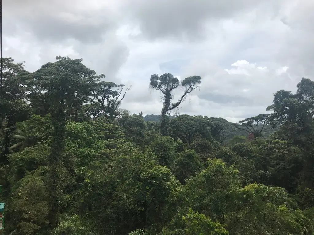 Orosi